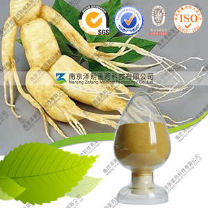 Best Selling Panax Ginseng Extract CAS No.: 90045-38-8